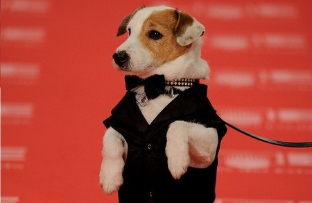 El perro Pancho en los Goya