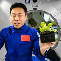 Astronautas chinos han dado con el truco para crear combustible limpio: imitar la fotosíntesis de las plantas en el espacio