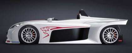 Spider 207