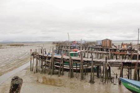 Carrasqueira 2