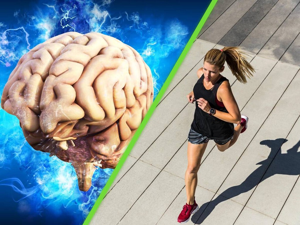 La ciencia ha descubierto que el ejercicio beneficia el órgano más inesperado de nuestro cuerpo: el cerebro . Noticias en tiempo real
