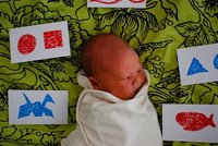 Qué son los bits de inteligencia