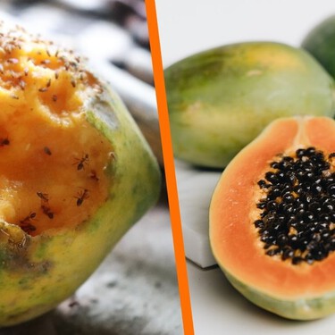 Ni arriba del refri, ni sobre la mesa: este es el mejor lugar para guardar la papaya y que no se pudra