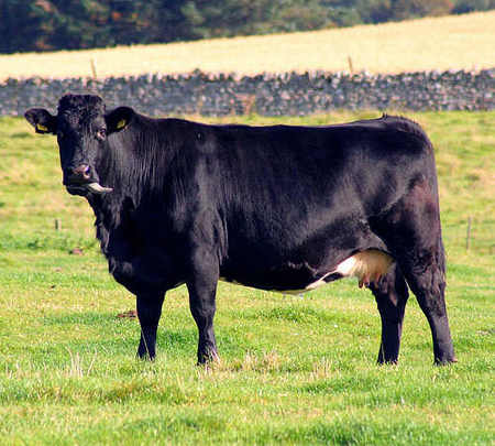 Régimen especial agrario de la SS