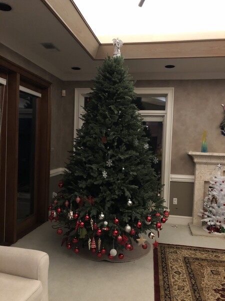La tierna y divertida foto viral de un árbol de Navidad decorado por una niña pequeña