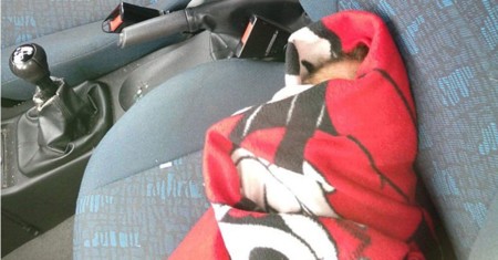 La policía rescata a un bebé "reborn" encerrado en un coche