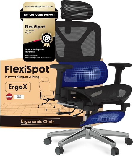 Silla Flexispot ErgoX