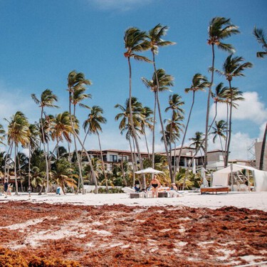 Buenas noticias: casi todas las playas de México ya son aptas, menos estas 6 que siguen dando problemas