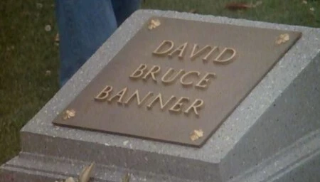 David bruce Banner