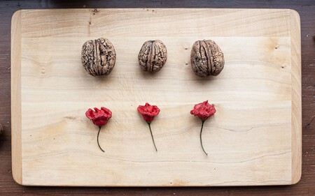 Olena Lev Wrcbjyfslfg Unsplash