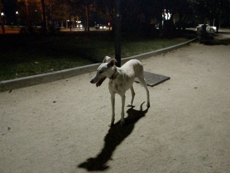 Img 20170806 011134017