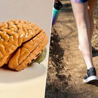 Caminar cambia las reglas del alzhéimer: unos pasos al día bastan para frenar la chispa que enciende la enfermedad 