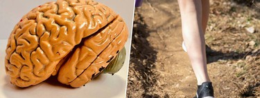 Caminar cambia las reglas del alzhéimer: unos pasos al día bastan para frenar la chispa que enciende la enfermedad 