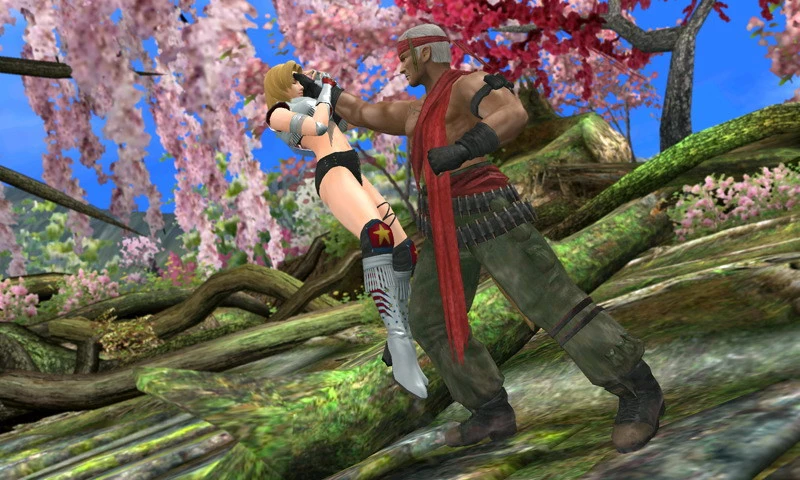 Foto de 300111 - DOA 3DS (combates) (8/29)