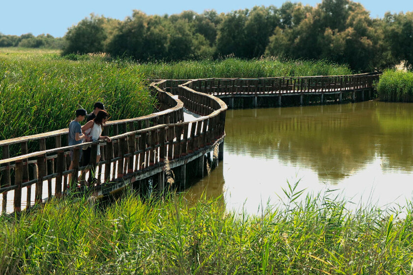Va a ser difícil verlo en un mejor estado: el momento perfecto para descubrir uno de los parques nacionales más icónicos de España