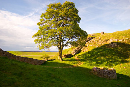 Muralla de Adriano