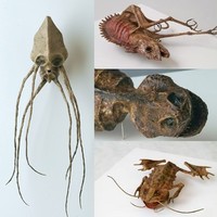 Los museos más curiosos del mundo