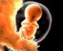 Alemania: polémica por prueba para conocer el sexo del bebé a las ocho semanas