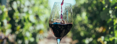 Este vino de El Bierzo es uno de los tintos que más pido cuando voy a restaurantes: a buen precio y hecho por uno de los mejores enólogos de España 