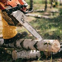 El básico que no te puede faltar si vives en un chalet con jardín: la motosierra compacta con la que arreglar el jardín tú mismo