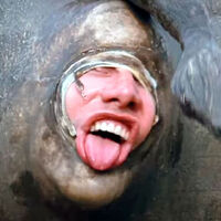 Por 4000 dólares podrás recrear uno de los memes más famosos de la historia del cine en tu casa las veces que quieras 