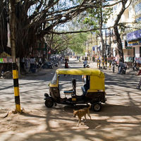 Cuando las ciudades eran auténticos paraísos naturales: lo que el mundo puede aprender de Bangalore