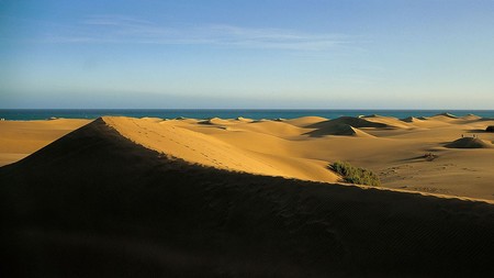 Toyota Playa en otoño