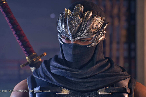 Ninja Gaiden 4 Team Ninja