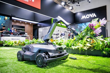 Nextlawn89