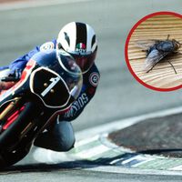 El día que Ángel Nieto se comió una mosca para intentar ganar una carrera de 250 cc 