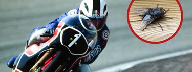 El día que Ángel Nieto se comió una mosca para intentar ganar una carrera de 250 cc 