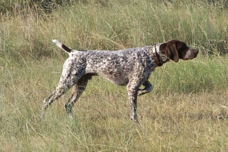 Braco3