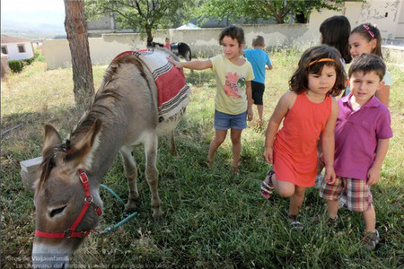 Resumen de la semana del 17 al 23 de julio en Peques y Más