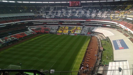 estadio