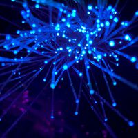 Bloqueio da internet no Irã ultrapassa 1.000 horas e se torna um dos maiores da história 