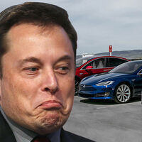 "Tesla era el líder, ahora a la gente le da vergüenza conducir uno". California, que fue el feudo de Elon Musk, le da la espalda