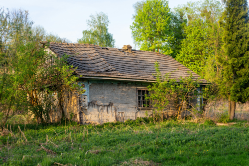 Viver off-grid / Imagem: unsplash