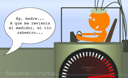 fauna en ruta: Midiendo la estupidez del conductor