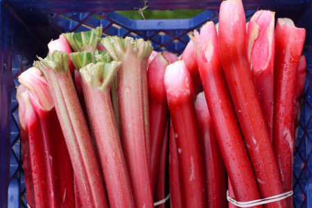 Ruibarbo, una buena forma de sumar vitaminas y minerales a tus platos