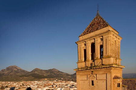 Alcaudete 4