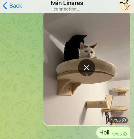 メッセージの送受信ができません。 iOS イメージ