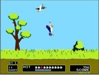Duck Hunt para Wii