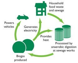 Biogas