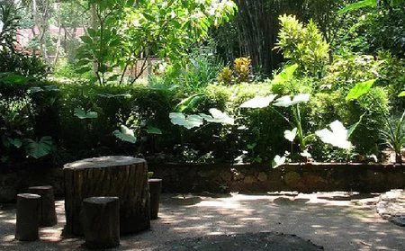 El 'Día del Medio Ambiente' se celebra en Segovia con deporte y un taller de etnobotánica gratis 