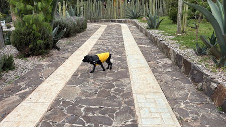 Date una escapada de ida y vuelta a este lugar a menos de 2 horas de CDMX: es pet friendly, tiene alberca y unos jardines hermosos