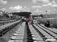 "La Fauna" de los Grandes Premios