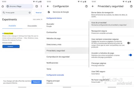 Chrome 4 プライバシー ガイド