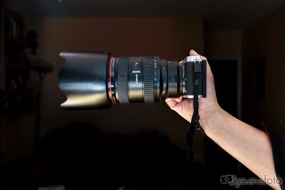 Foto de Canon EOS M6 (32/37)