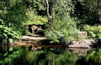 España es el segundo país con más reservas de la biosfera tras distinguirse tres nuevas zonas