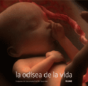 La odisea de la vida en imágenes